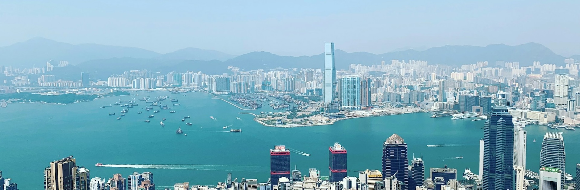 港区会员续签办理